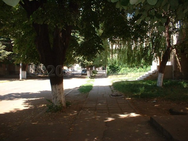 Strada C. A. Rosetti