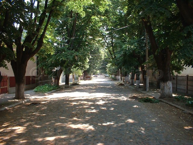 Strada C. A. Rosetti