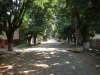 Strada C. A. Rosetti