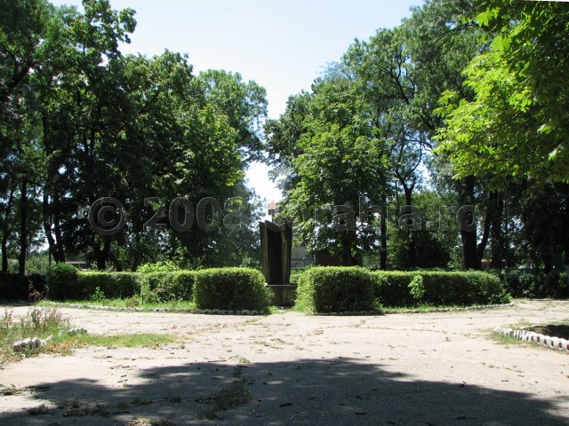 003 in parc