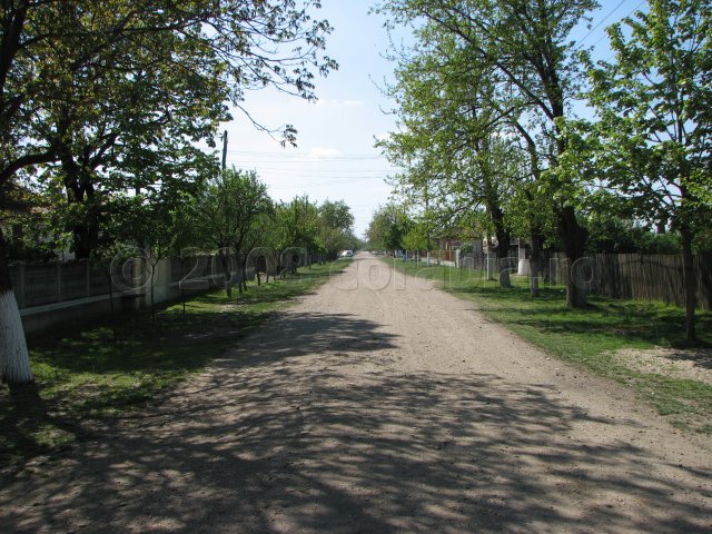 010 strada general praporgescu