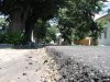 009 strada grivita rosie
