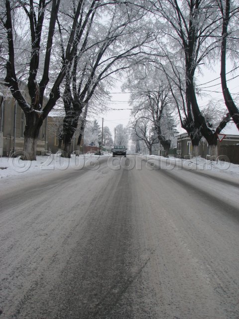 strada grivita rosie ziua