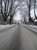 strada grivita rosie ziua