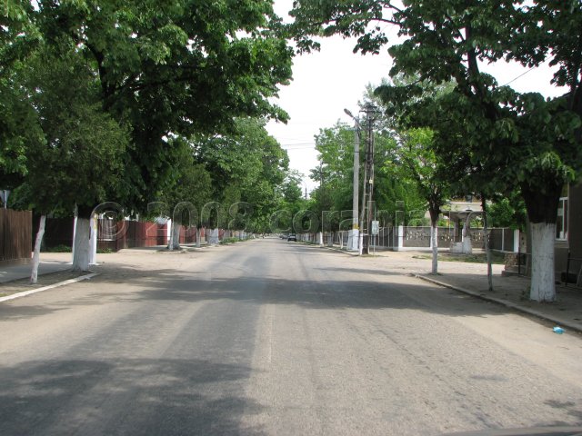 Vedere pe strada Dumitru Buzdun, Corabia