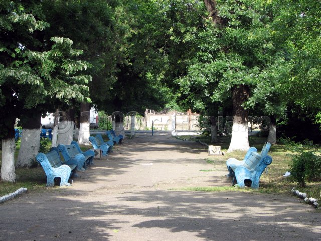 in parc