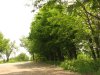 Parcarea „La pădurice”