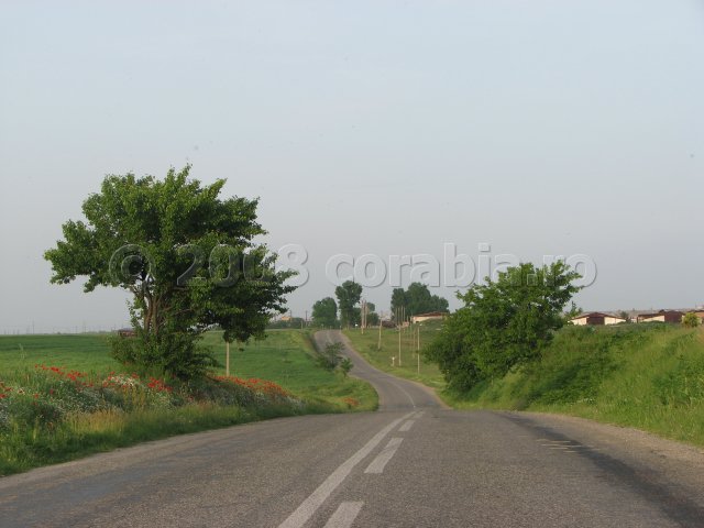 valea celei